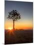 Sunrise at Bryce Canyon National Park, Utah, USA-Tom Norring-Mounted Photographic Print