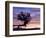 Sunrise at Bryce Canyon National Park, Utah, USA-Tom Norring-Framed Photographic Print