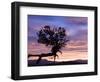 Sunrise at Bryce Canyon National Park, Utah, USA-Tom Norring-Framed Photographic Print