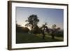 Sunrise at Carinthia-Simone Wunderlich-Framed Photographic Print