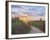 Sunrise at Delray Beach-Bruce Dumas-Framed Giclee Print