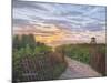 Sunrise at Delray Beach-Bruce Dumas-Mounted Giclee Print