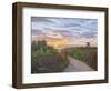 Sunrise at Delray Beach-Bruce Dumas-Framed Giclee Print