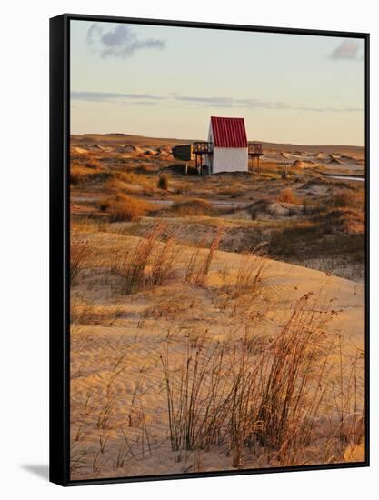 Sunrise at dunes, Cabo Polonio, Rocha Department, Uruguay, South America-Karol Kozlowski-Framed Stretched Canvas