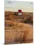 Sunrise at dunes, Cabo Polonio, Rocha Department, Uruguay, South America-Karol Kozlowski-Mounted Photographic Print