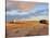 Sunrise at dunes, Cabo Polonio, Rocha Department, Uruguay, South America-Karol Kozlowski-Stretched Canvas