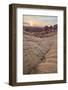 Sunrise at Fire Canyon, Valley of Fire State Park, Nevada, United States of America, North America-James Hager-Framed Photographic Print