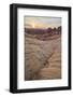 Sunrise at Fire Canyon, Valley of Fire State Park, Nevada, United States of America, North America-James Hager-Framed Photographic Print