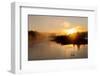 Sunrise at Fishing Bridge. Yellowstone National Park, Wyoming.-Tom Norring-Framed Photographic Print