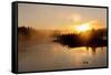 Sunrise at Fishing Bridge. Yellowstone National Park, Wyoming.-Tom Norring-Framed Stretched Canvas