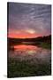 Sunrise at Fort Bragg, Mendocino California-Vincent James-Stretched Canvas