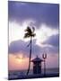 Sunrise at Ft Lauderdale Beach, Florida, USA-Walter Bibikow-Mounted Photographic Print