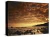 Sunrise at Honokohau Bay, Maui, Hawaii, USA-Charles Gurche-Stretched Canvas