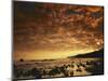 Sunrise at Honokohau Bay, Maui, Hawaii, USA-Charles Gurche-Mounted Photographic Print