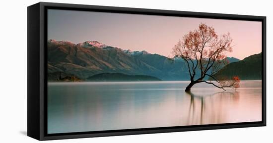 Sunrise at Lake Wanaka-Steve Daggar Photography-Framed Stretched Canvas