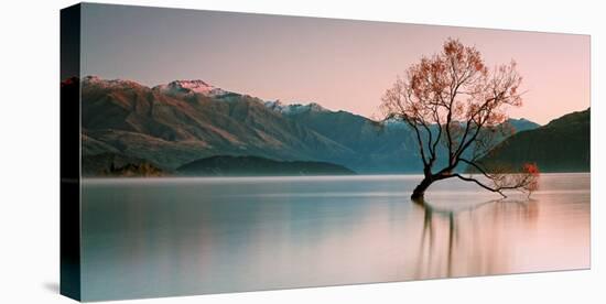 Sunrise at Lake Wanaka-Steve Daggar Photography-Stretched Canvas