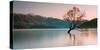 Sunrise at Lake Wanaka-Steve Daggar Photography-Stretched Canvas