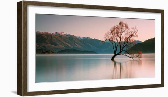 Sunrise at Lake Wanaka-Steve Daggar Photography-Framed Photographic Print