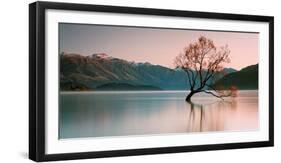 Sunrise at Lake Wanaka-Steve Daggar Photography-Framed Photographic Print