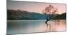 Sunrise at Lake Wanaka-Steve Daggar Photography-Mounted Photographic Print