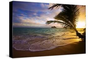 Sunrise at Lanikai Beach in Hawaii-tomasfoto-Stretched Canvas