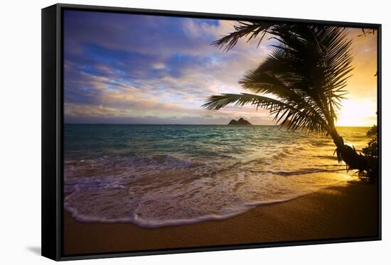 Sunrise at Lanikai Beach in Hawaii-tomasfoto-Framed Stretched Canvas