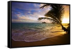 Sunrise at Lanikai Beach in Hawaii-tomasfoto-Framed Stretched Canvas