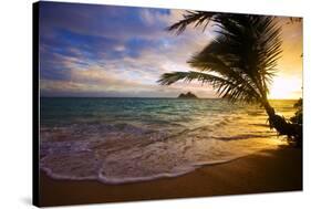 Sunrise at Lanikai Beach in Hawaii-tomasfoto-Stretched Canvas