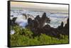 Sunrise at Laupahoehoe Beach Park, Hamakua Coast, Big Island, Hawaii-Stuart Westmorland-Framed Stretched Canvas