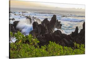 Sunrise at Laupahoehoe Beach Park, Hamakua Coast, Big Island, Hawaii-Stuart Westmorland-Stretched Canvas