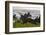 Sunrise at Laupahoehoe Beach Park, Hamakua Coast, Big Island, Hawaii-Stuart Westmorland-Framed Photographic Print