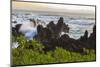 Sunrise at Laupahoehoe Beach Park, Hamakua Coast, Big Island, Hawaii-Stuart Westmorland-Mounted Photographic Print