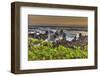 Sunrise at Laupahoehoe Beach Park, Hamakua Coast, Big Island, Hawaii-Stuart Westmorland-Framed Photographic Print