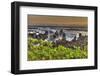 Sunrise at Laupahoehoe Beach Park, Hamakua Coast, Big Island, Hawaii-Stuart Westmorland-Framed Photographic Print