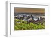 Sunrise at Laupahoehoe Beach Park, Hamakua Coast, Big Island, Hawaii-Stuart Westmorland-Framed Photographic Print