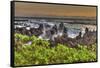 Sunrise at Laupahoehoe Beach Park, Hamakua Coast, Big Island, Hawaii-Stuart Westmorland-Framed Stretched Canvas