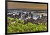 Sunrise at Laupahoehoe Beach Park, Hamakua Coast, Big Island, Hawaii-Stuart Westmorland-Framed Photographic Print