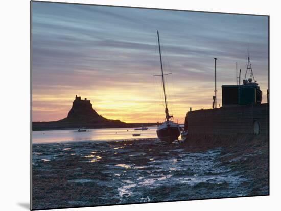 Sunrise at Lindisfarne, Holy Island, Northumberland, England, United Kingdom, Europe-Wogan David-Mounted Photographic Print