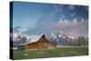 Sunrise At Mormon Row In Grand Teton National Park-Liam Doran-Stretched Canvas