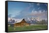 Sunrise At Mormon Row In Grand Teton National Park-Liam Doran-Framed Stretched Canvas