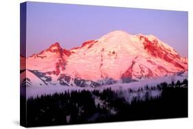 Sunrise at Mount Rainier-Douglas Taylor-Stretched Canvas