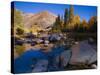 Sunrise at North Lake, Eastern Sierra Foothills, California, USA-Tom Norring-Stretched Canvas