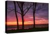 Sunrise at Ogunquit, Maine-Vincent James-Stretched Canvas