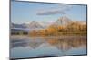 Sunrise at Oxbow Bend in fall, Grand Teton National Park, Wyoming-Richard & Susan Day-Mounted Photographic Print