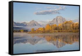 Sunrise at Oxbow Bend in fall, Grand Teton National Park, Wyoming-Richard & Susan Day-Framed Stretched Canvas