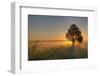 Sunrise at Prairie Ridge State Natural Area, Marion County, Illinois-Richard and Susan Day-Framed Photographic Print