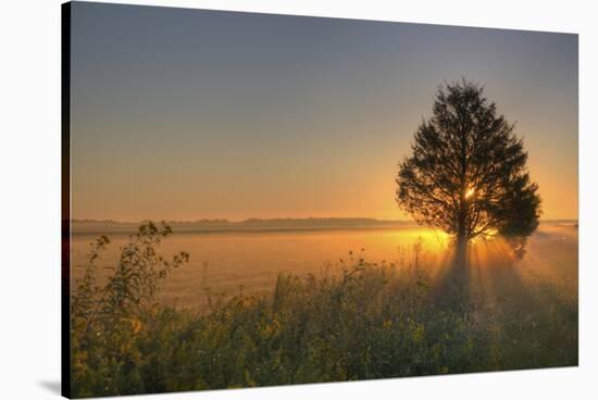 Sunrise at Prairie Ridge State Natural Area, Marion County, Illinois-Richard and Susan Day-Stretched Canvas