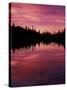 Sunrise at Reflection Lake, Mt. Rainier National Park, Washington, USA-null-Stretched Canvas