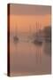 Sunrise at River Frome, Dorset-Robert Maynard-Stretched Canvas