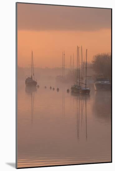 Sunrise at River Frome, Dorset-Robert Maynard-Mounted Photographic Print